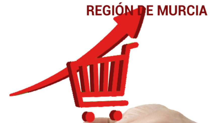 Ayudas para el Comercio Electrónico en la Región de Murcia